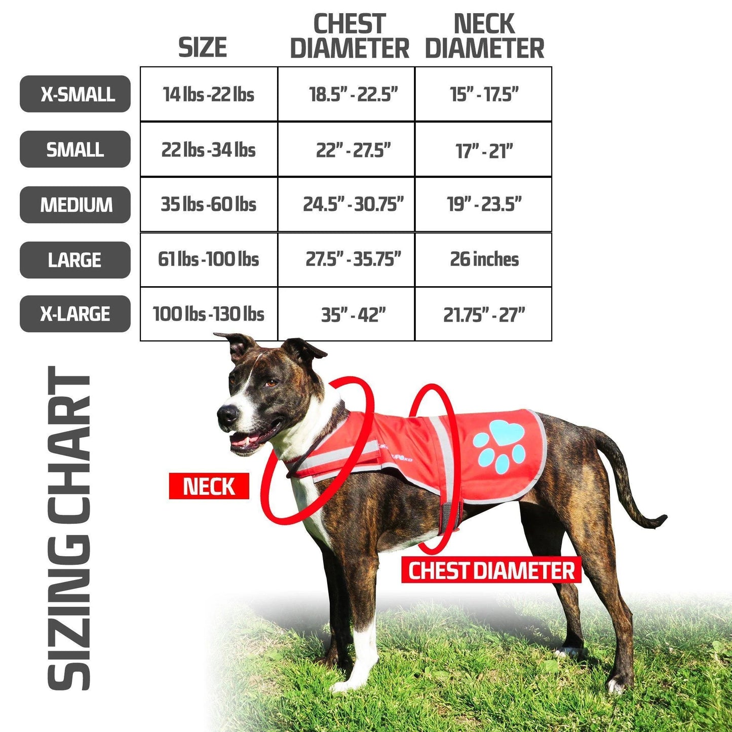 Dog Reflective Vest L Size Chest 31.63 in Neck 23 in Hi Vis Fluorescent